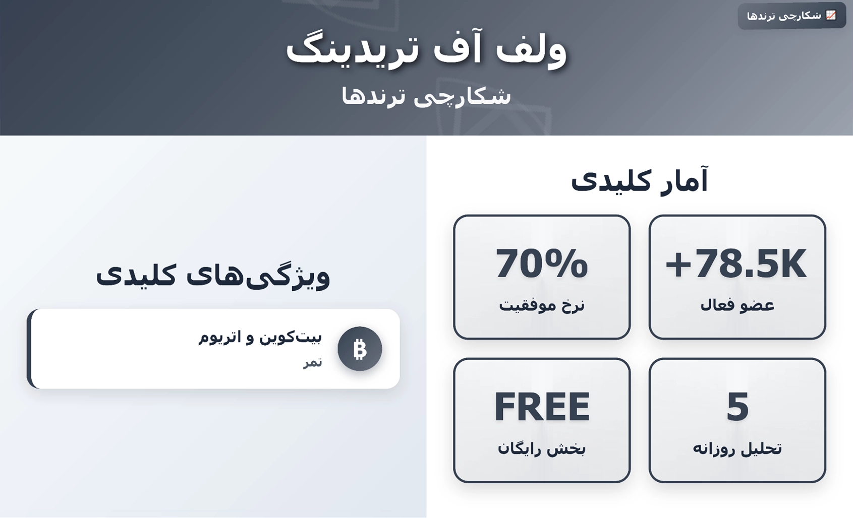 کانال ولف آف تریدینگ (Wolf of Trading)