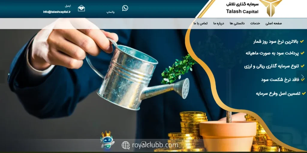 سرمایه گذاری تلاش؛ بررسی پلن‌های ارزی برای کسب درآمد دلاری در ایران