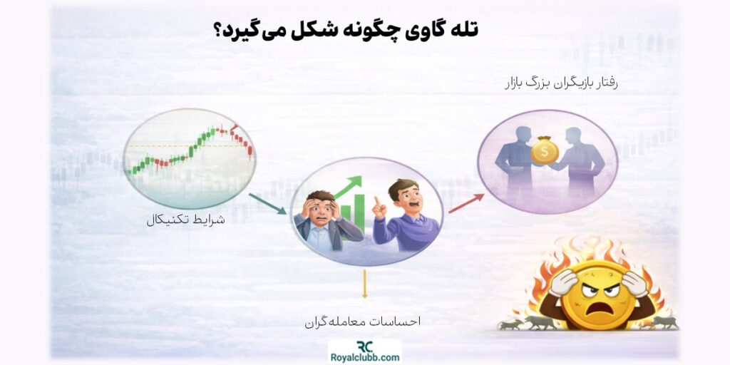 تله گاوی چگونه شکل می‌گیرد؟