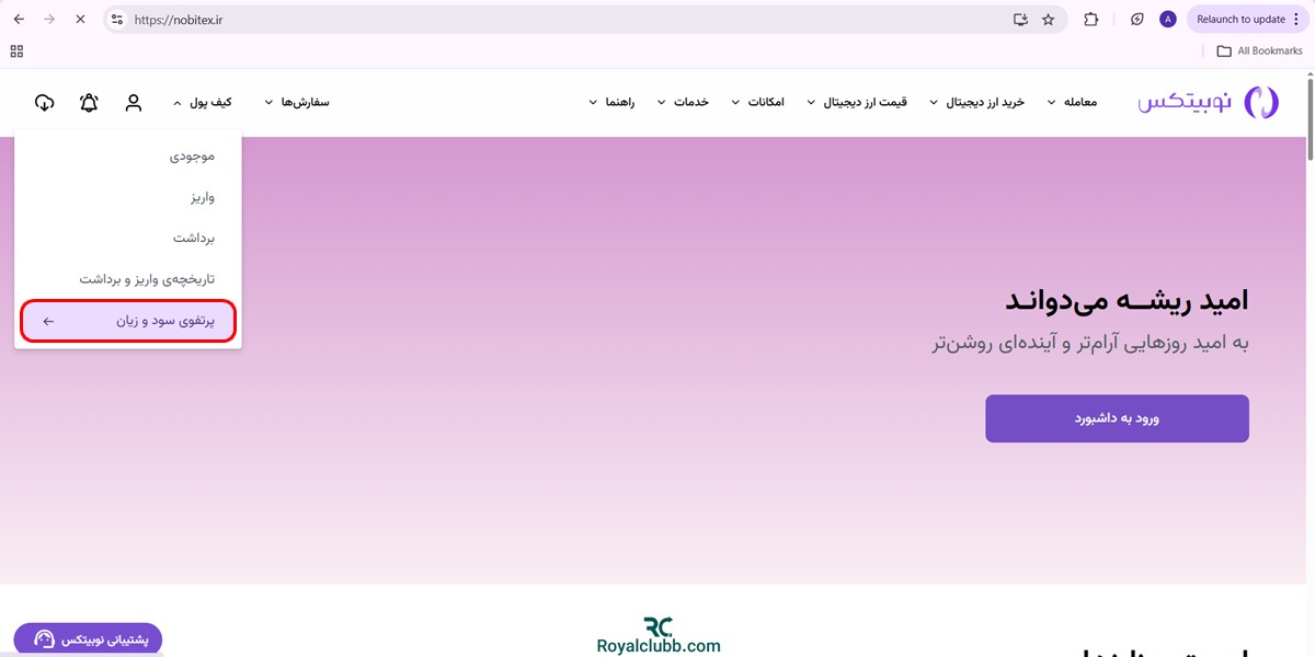 پرتفوی سود و زیان نوبیتکس