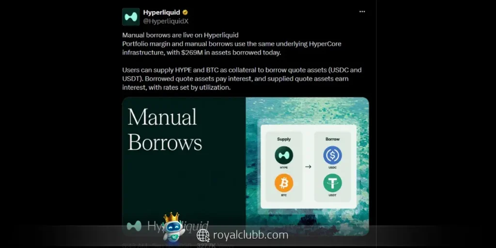 راهاندازی قابلیت Manual Borrows در هایپرلیکویید